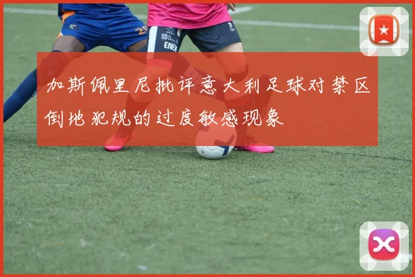 加斯佩里尼批评意大利足球对禁区倒地犯规的过度敏感现象