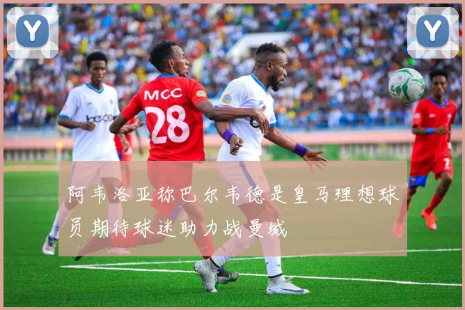 阿韦洛亚称巴尔韦德是皇马理想球员期待球迷助力战曼城